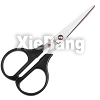 �������ϸ